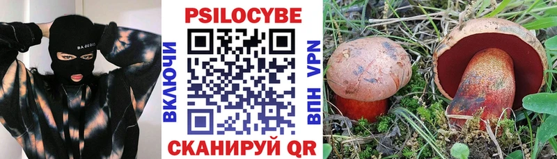 Галлюциногенные грибы Magic Shrooms  наркотики  Гулькевичи 