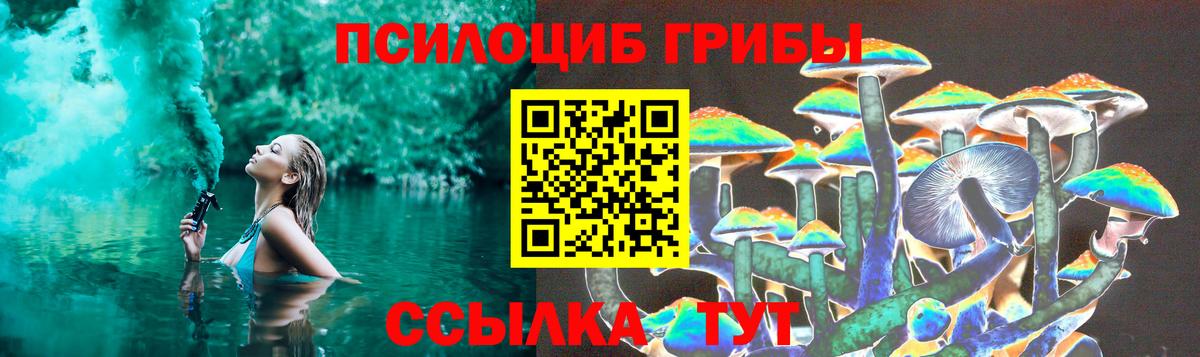 Псилоцибиновые грибы Psilocybe  Гулькевичи 